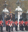 Royal Guard