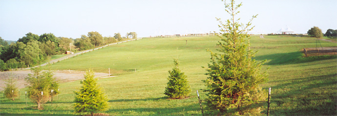 Woodstock Site