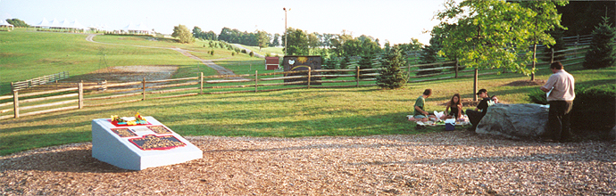 Woodstock Site