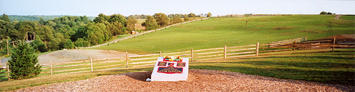 Woodstock Site & Monument